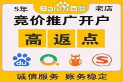 实战案例：如何利用百度推广拓展市场份额